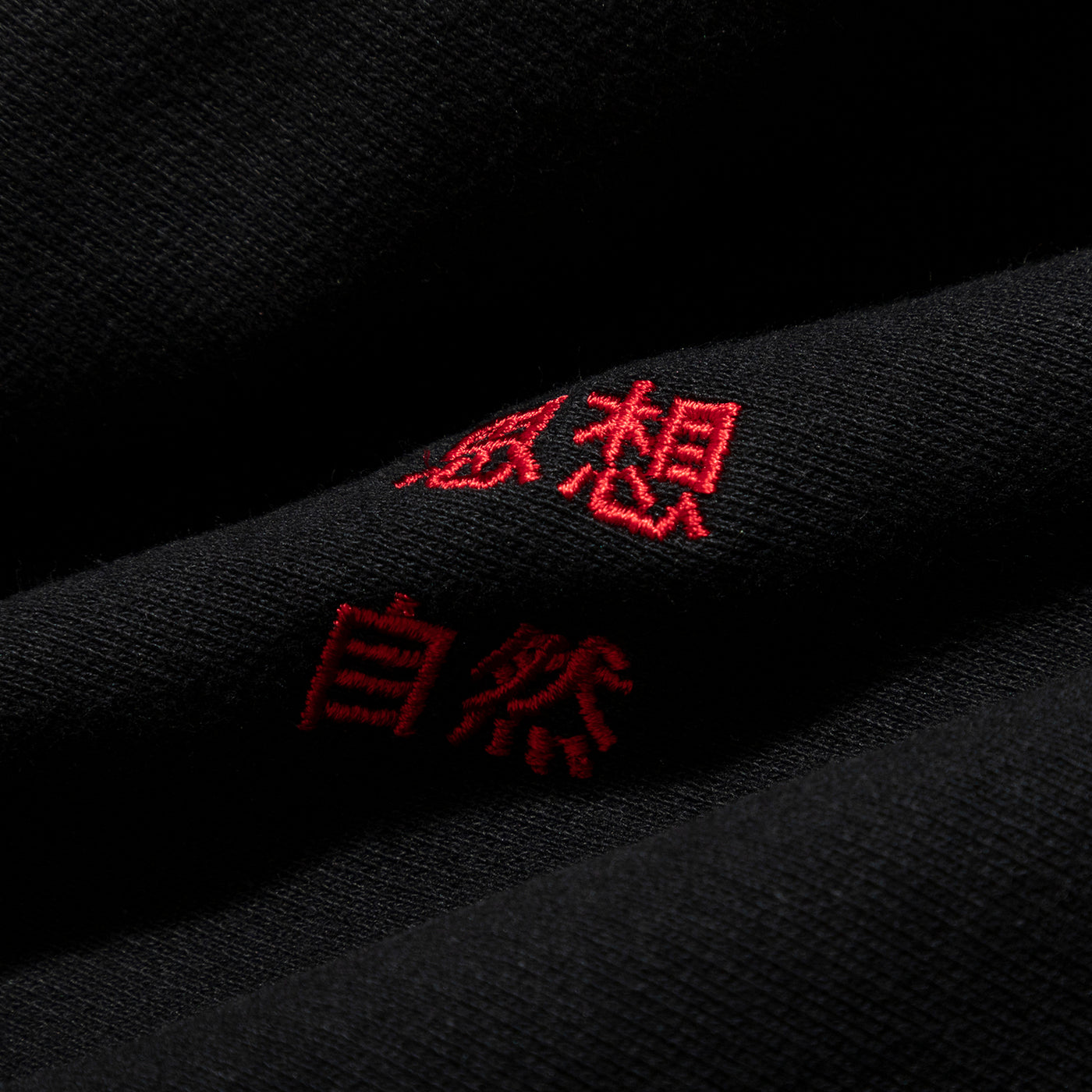 TACOMA FUJI RECORDS / 藝術科学思想自然 SWEATSHIRT – redtriangle