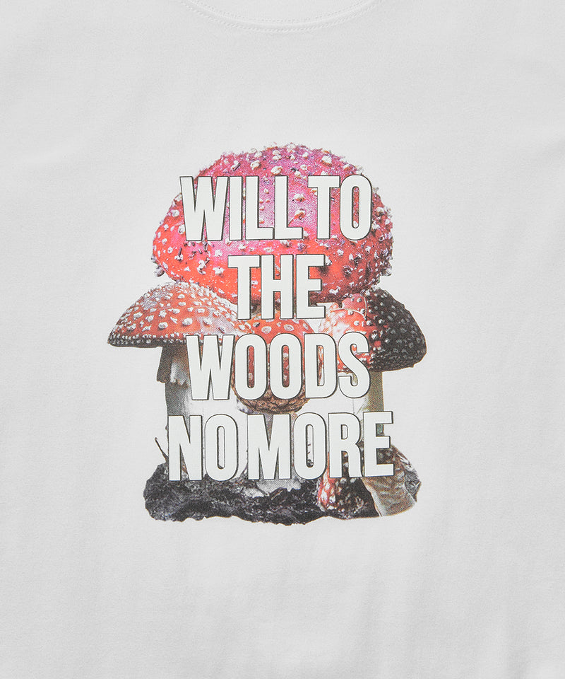 Mountain Research / Mushroom – redtriangle