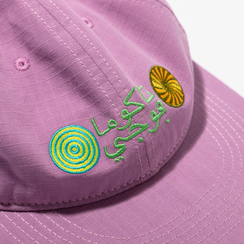TACOMA FUJI RECORDS /  UNITY IN DIVERSITY CAP