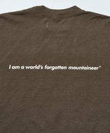 Mountain Research / Search and Destroy - Brown