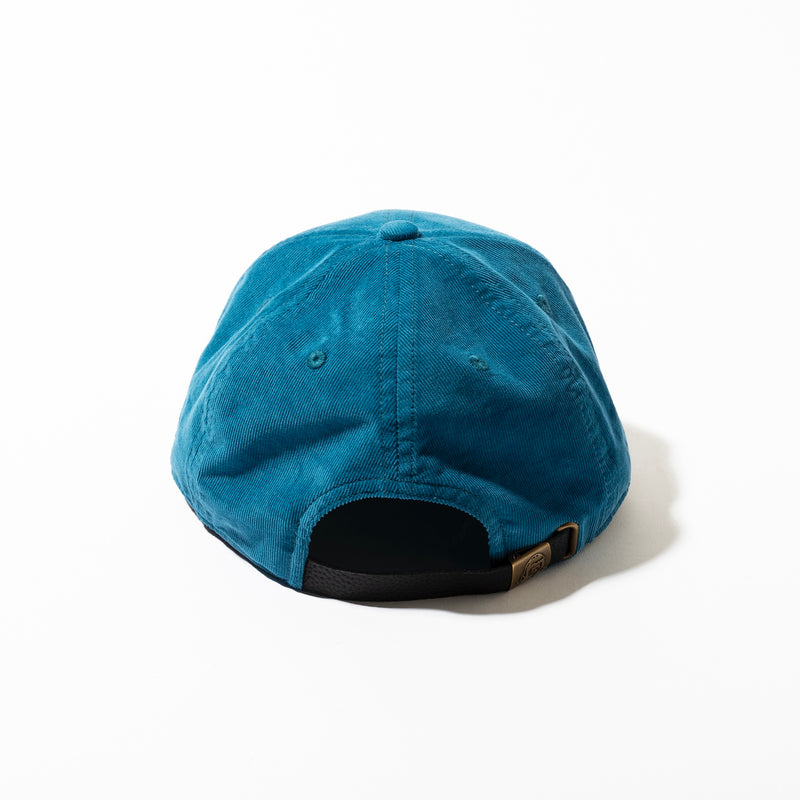 TACOMA FUJI RECORDS /  UNITY IN DIVERSITY CAP