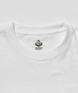 Mountain Research / Nous N'irons Plus Au Bois